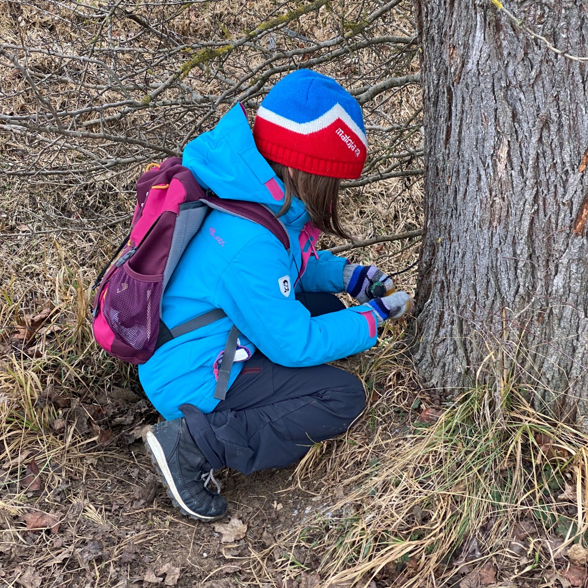 Geocache Tour in&nbsp;Niederroth