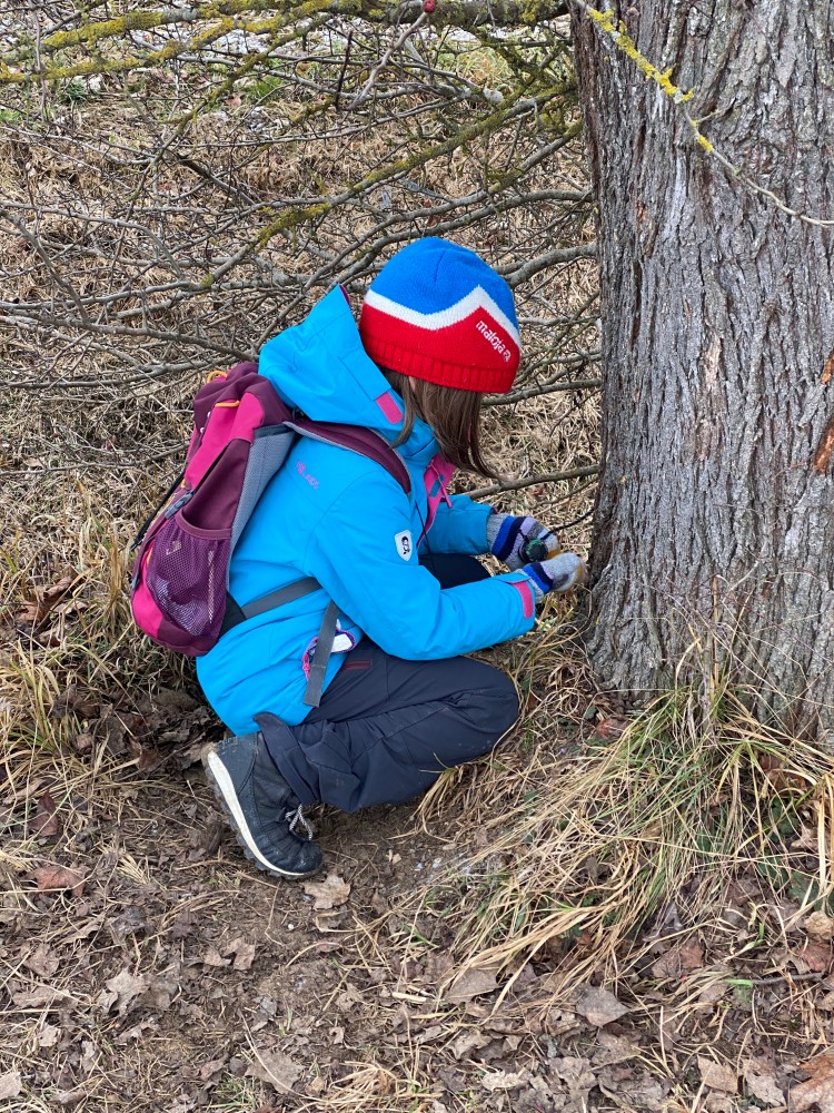 Geocache Tour in&nbsp;Niederroth